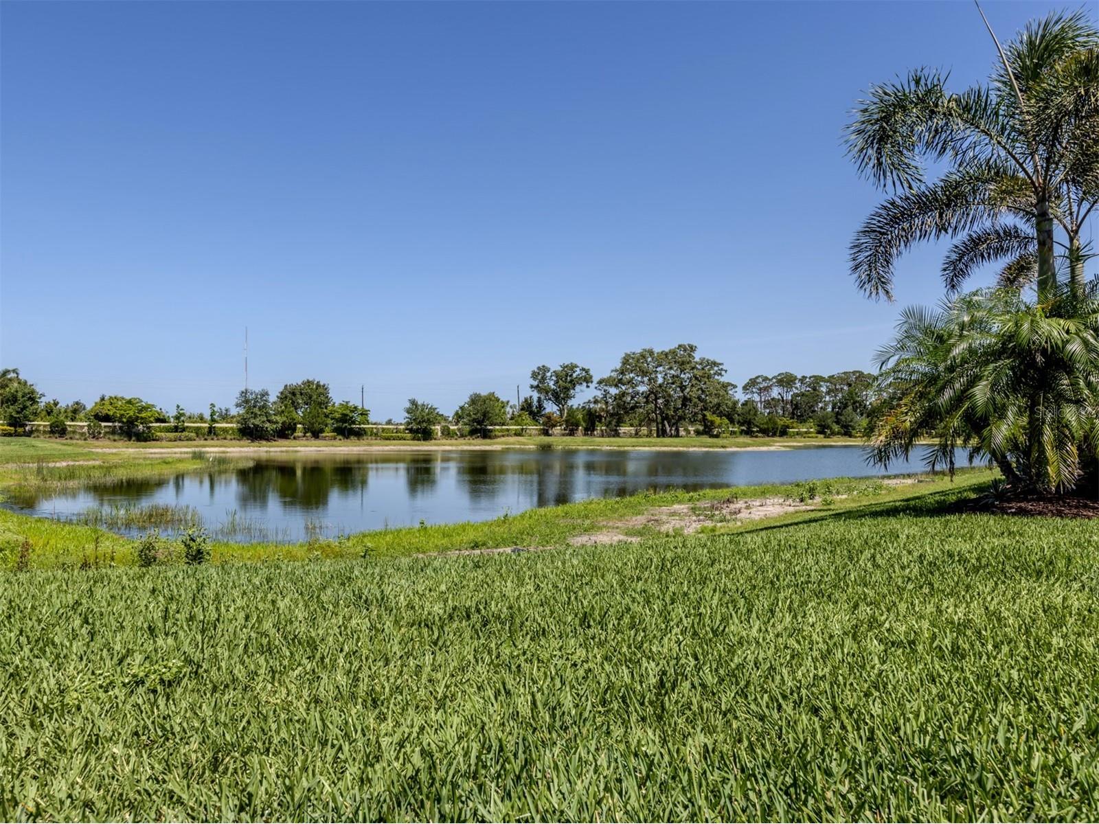 5853 Semolino Street Nokomis FL 34275 N6142872 image28