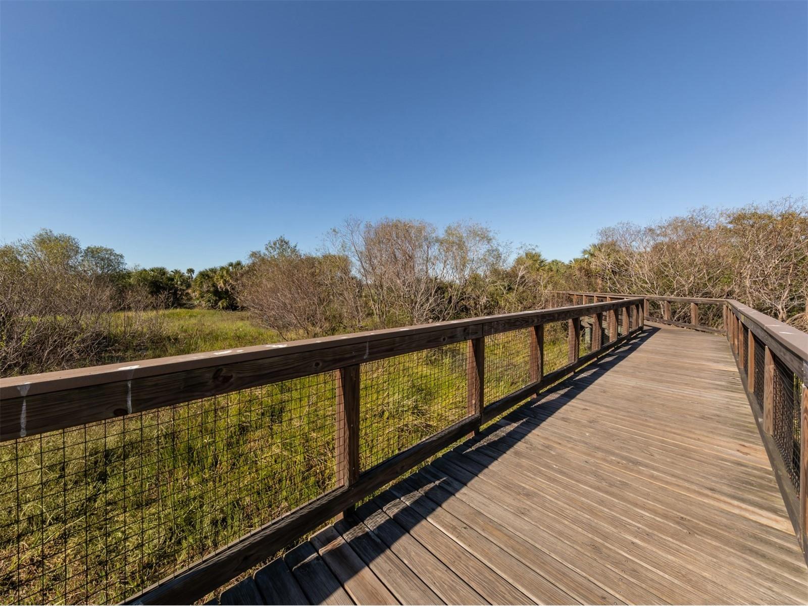 5853 Semolino Street Nokomis FL 34275 N6142872 image54