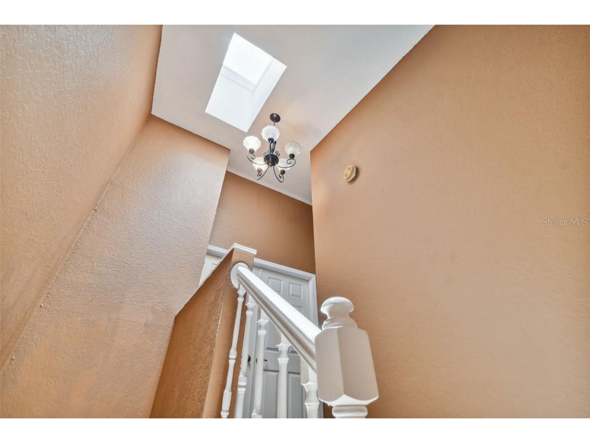 5854 Red Cedar Lane Tampa FL 33625 TB8416550 image18