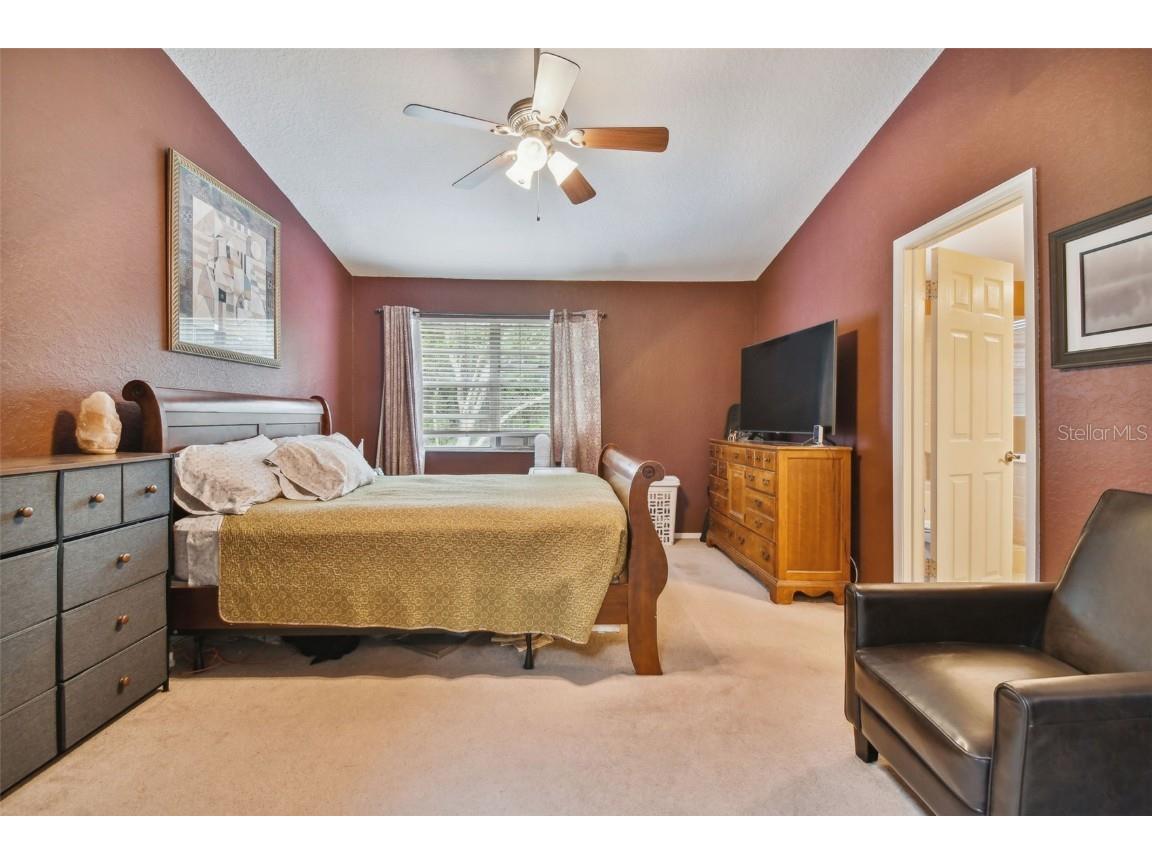 5854 Red Cedar Lane Tampa FL 33625 TB8416550 image19