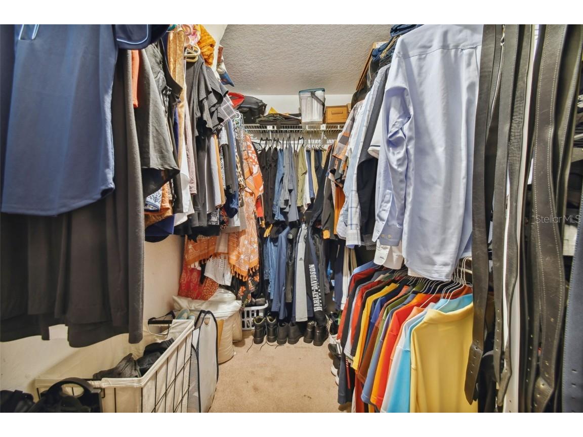 5854 Red Cedar Lane Tampa FL 33625 TB8416550 image28