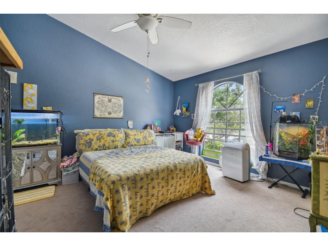 5854 Red Cedar Lane Tampa FL 33625 TB8416550 image30