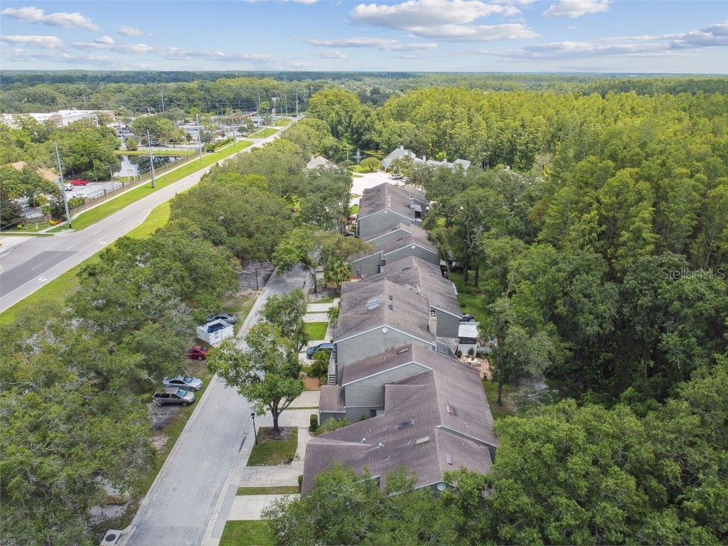 5854 Red Cedar Lane Tampa FL 33625 TB8416550 image45