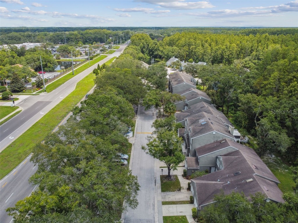 5854 Red Cedar Lane Tampa FL 33625 TB8416550 image46