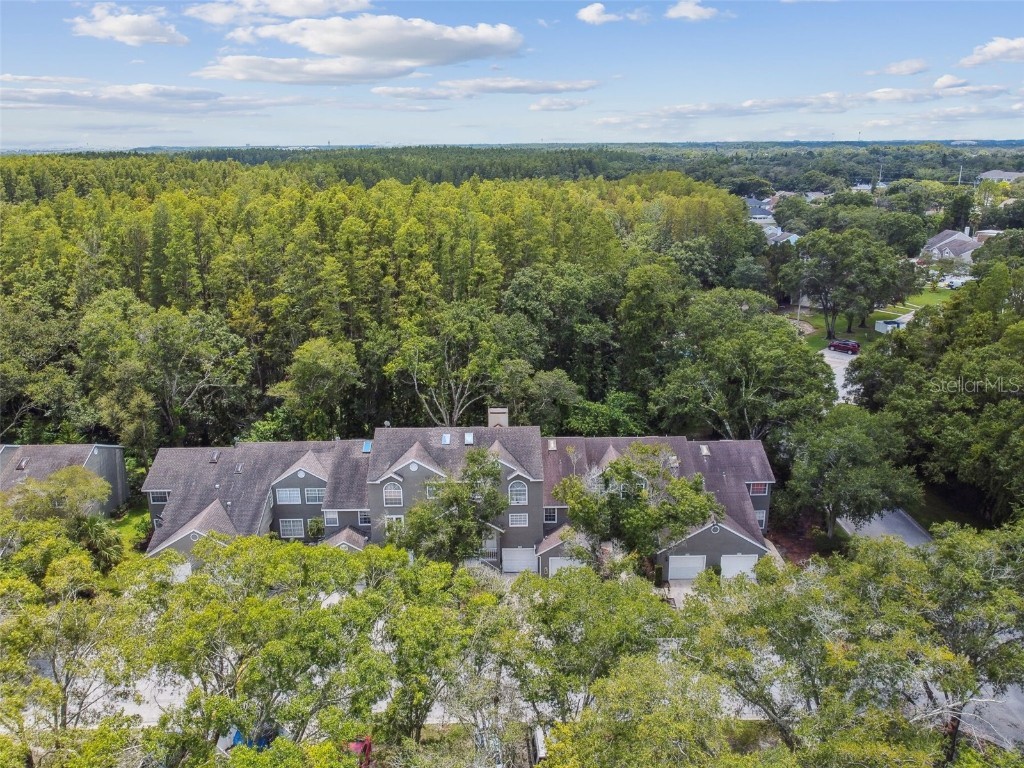 5854 Red Cedar Lane Tampa FL 33625 TB8416550 image47