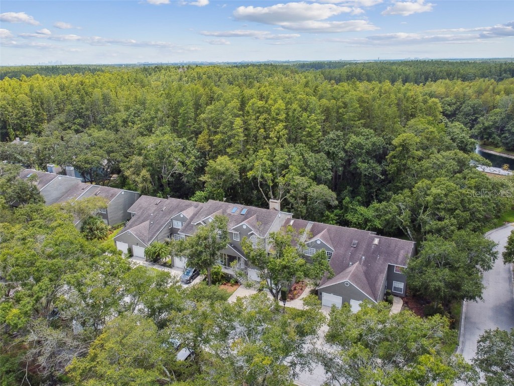 5854 Red Cedar Lane Tampa FL 33625 TB8416550 image48