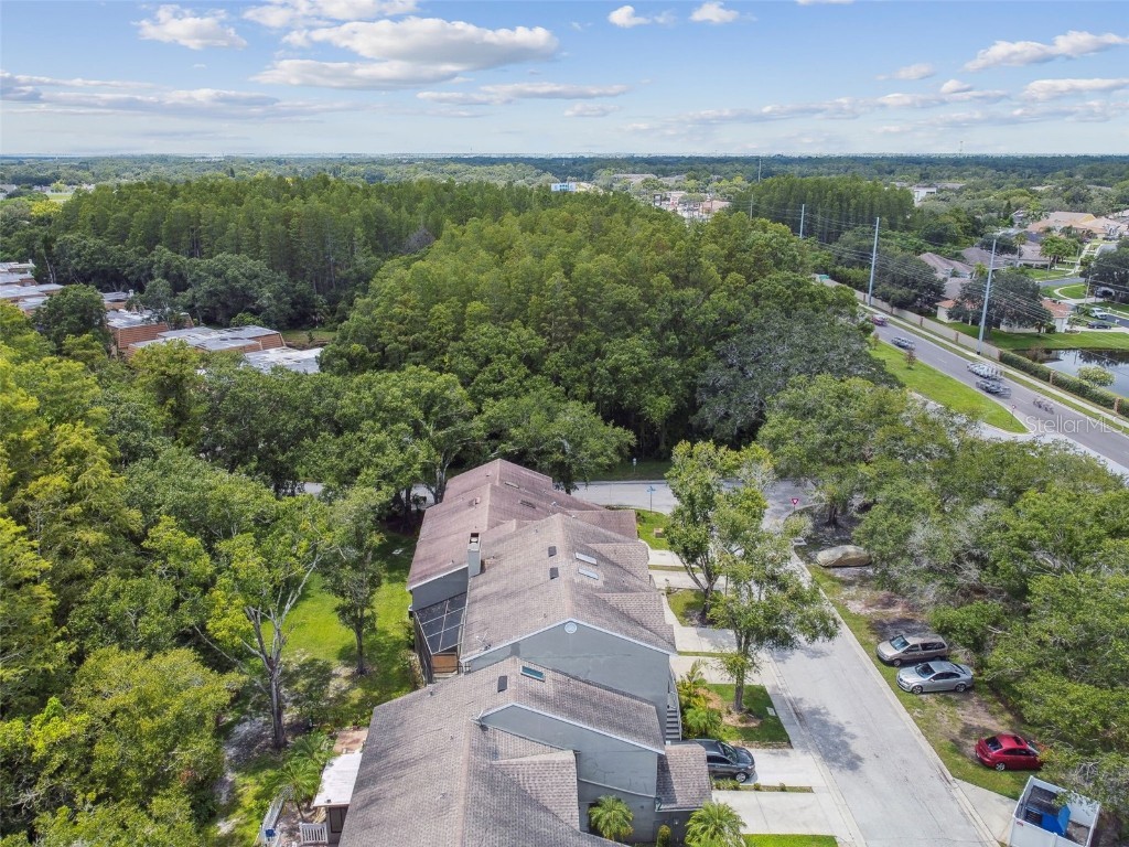 5854 Red Cedar Lane Tampa FL 33625 TB8416550 image49