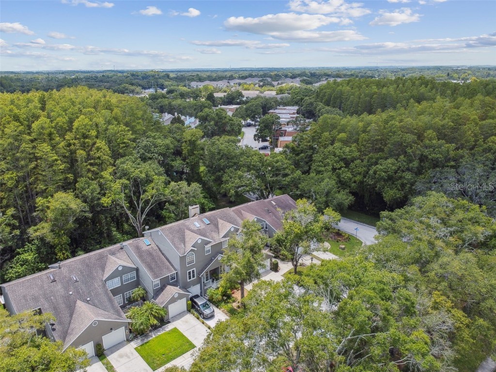 5854 Red Cedar Lane Tampa FL 33625 TB8416550 image50