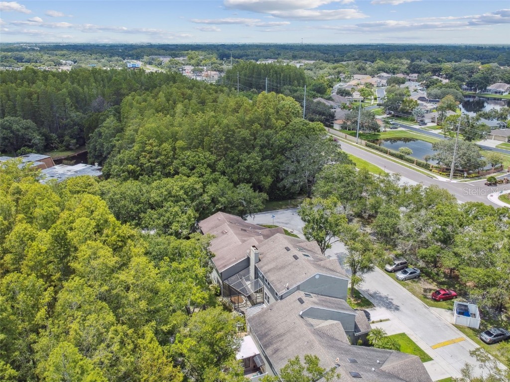 5854 Red Cedar Lane Tampa FL 33625 TB8416550 image51