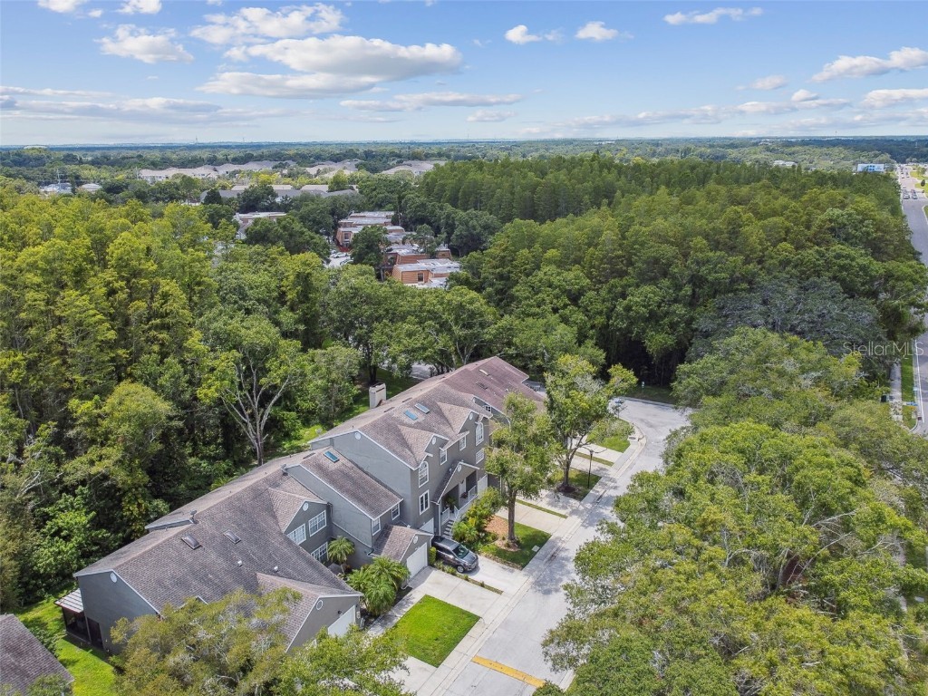 5854 Red Cedar Lane Tampa FL 33625 TB8416550 image52