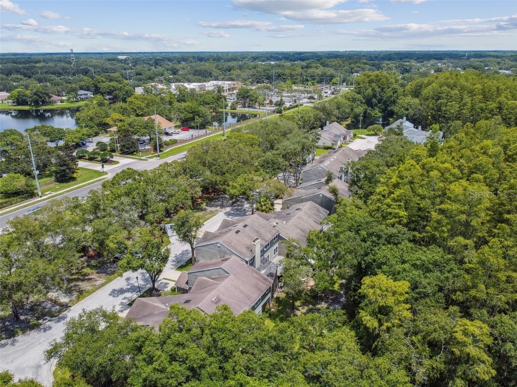 5854 Red Cedar Lane Tampa FL 33625 TB8416550 image53