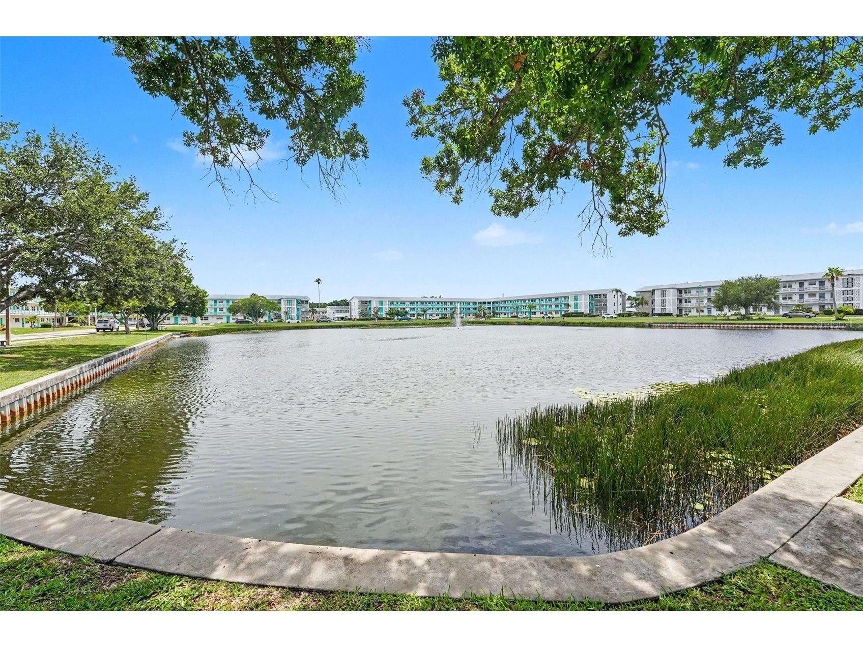 5855 18th Street N #1 Saint Petersburg FL 33714 TB8514844 image24