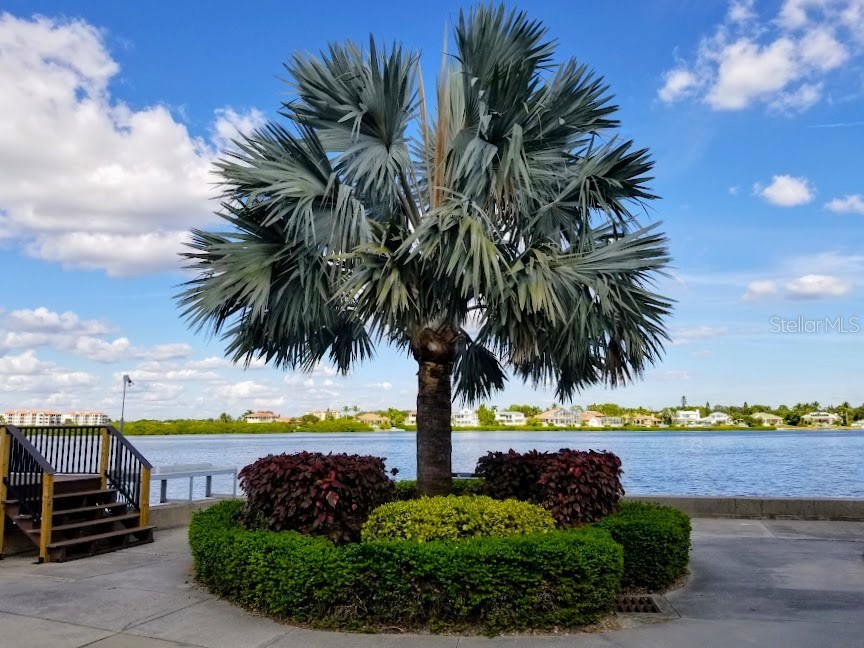 5855 Midnight Pass Road #314 Sarasota FL 34242 - LITTLE SARASOTA BAY A4660419 image53