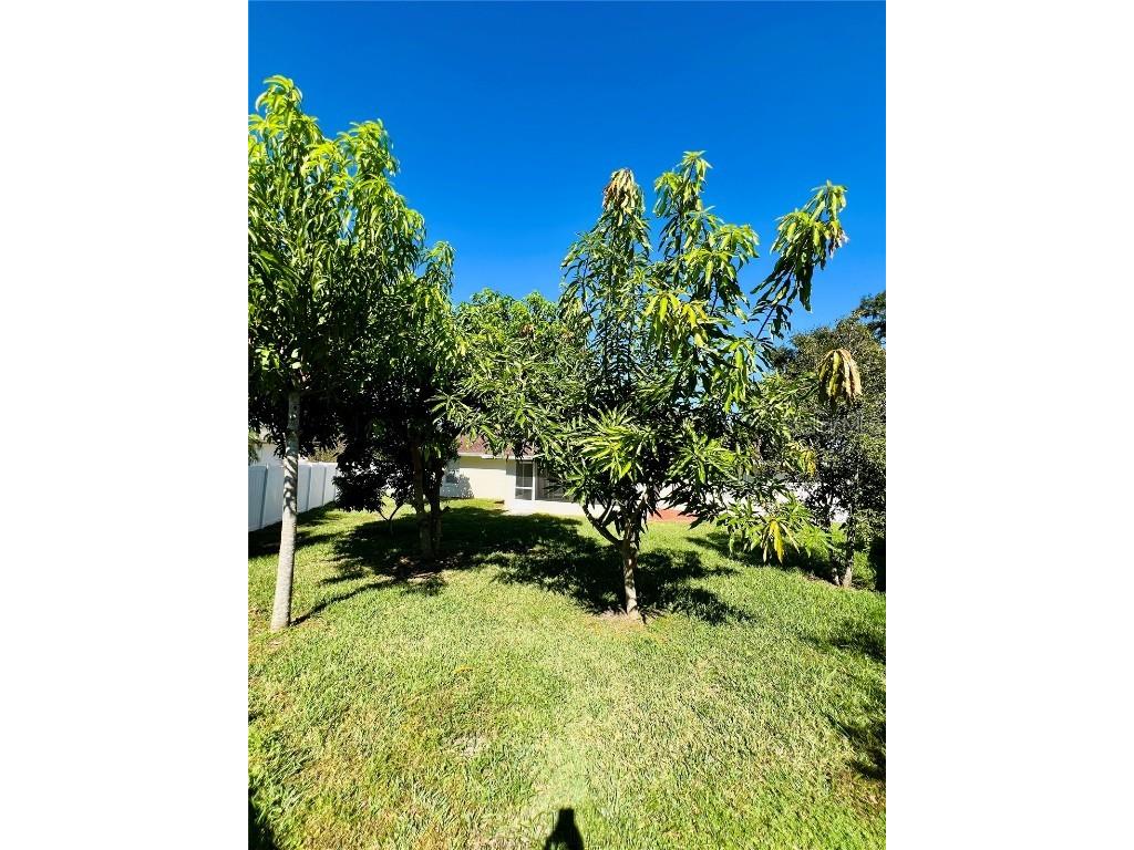 5857 Manchester Drive W Lakeland FL 33810 L4955476 image42