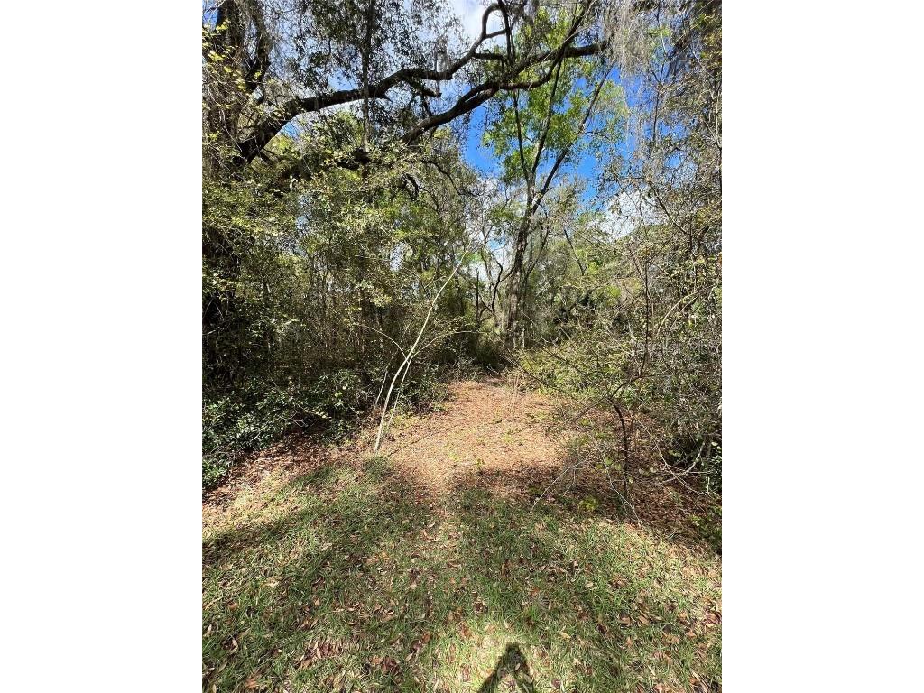 5858 SE 165th Terrace Ocklawaha FL 32179 GC520113 image1