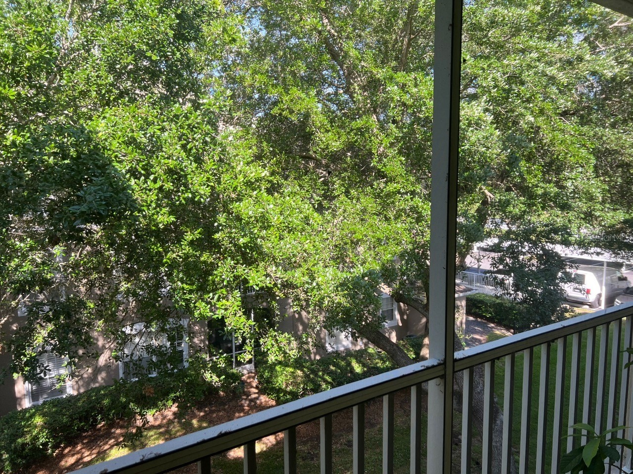 586 Brantley Terrace Way #307 Altamonte Springs FL 32714 O6401512 image20