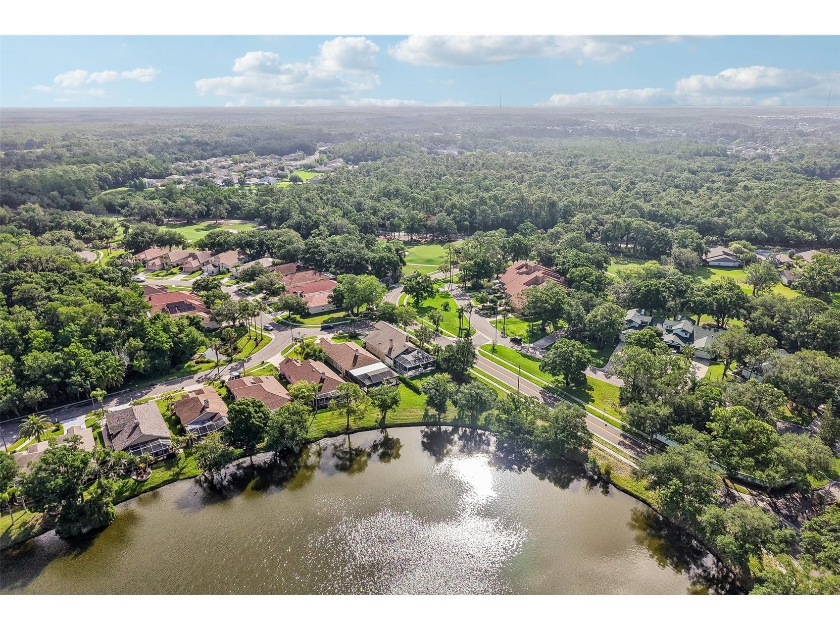 586 Kingsmill Court Oldsmar FL 34677 TB8512390 image42