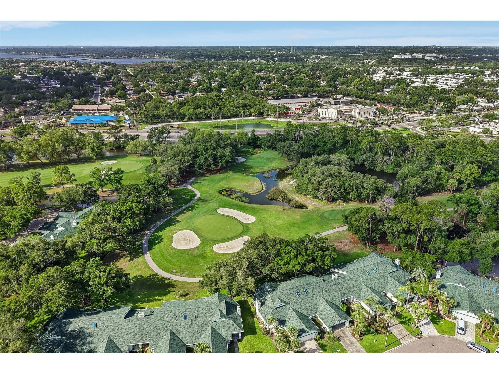 586 Kingsmill Court Oldsmar FL 34677 TB8512390 image46