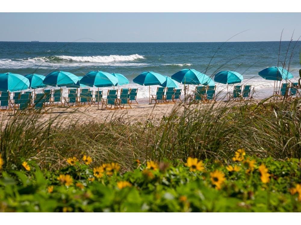 586 Lost Shaker Way Daytona Beach FL 32124 V4944152 image58