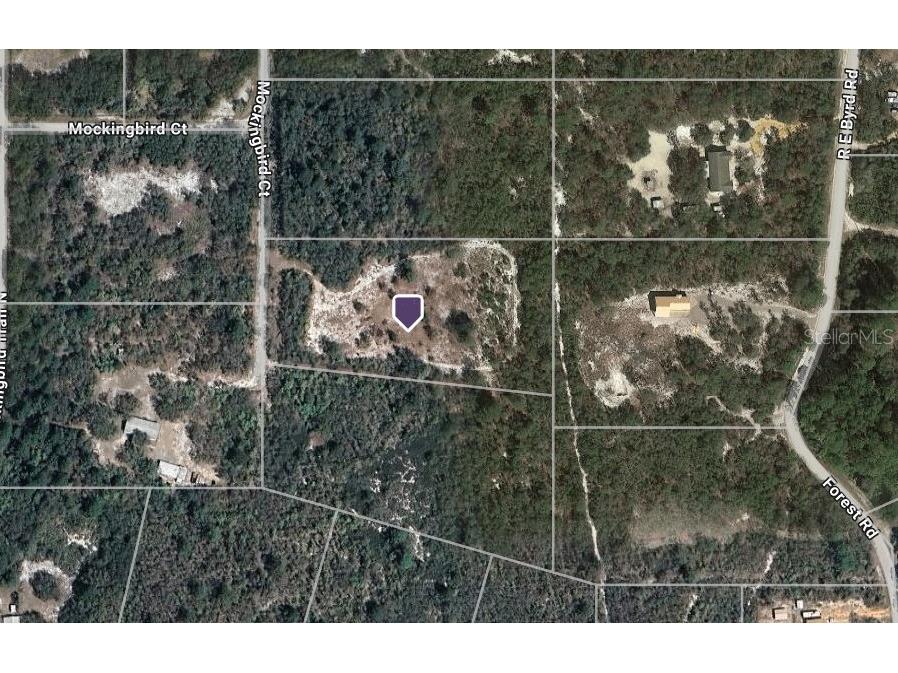 586 Mockingbird Ct Frostproof FL 33843 A4644700 image1