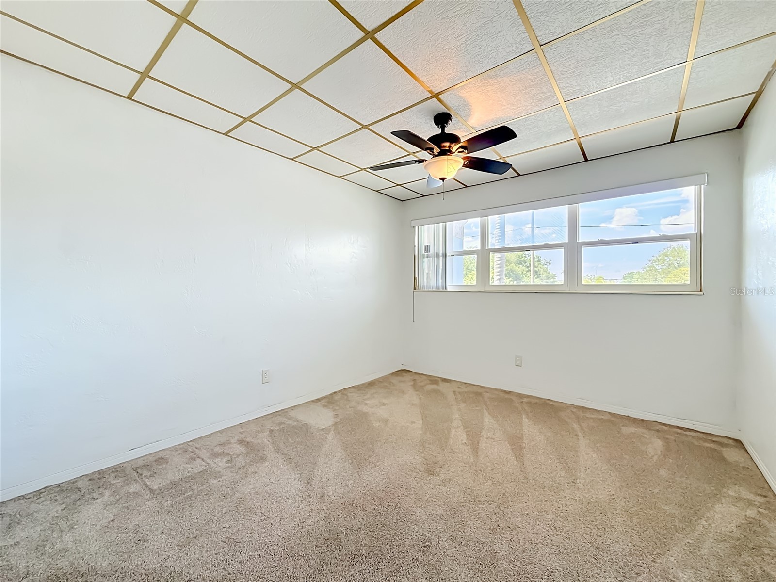 5860 43rd Terrace N #1513 Kenneth City FL 33709 TB8506164 image30