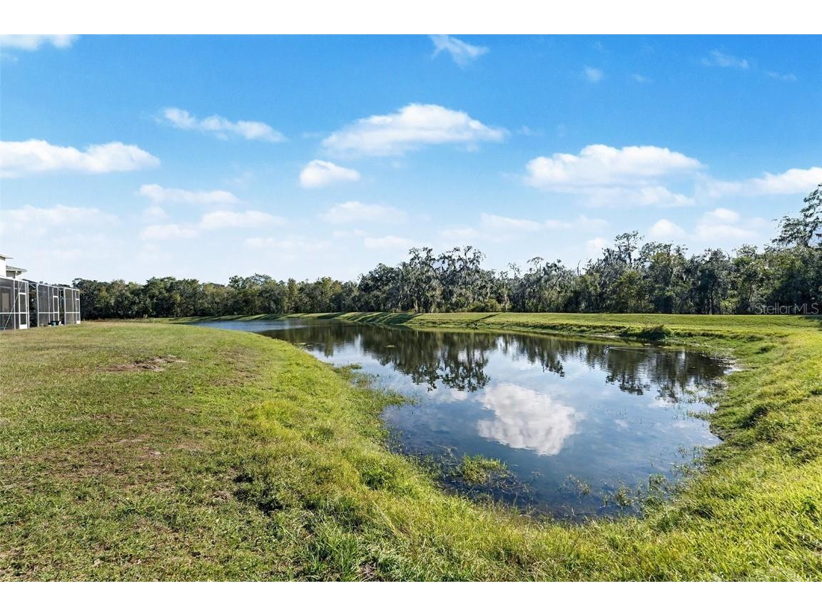 5860 Fishhawk Ridge Drive Lithia FL 33547 TB8455382 image28