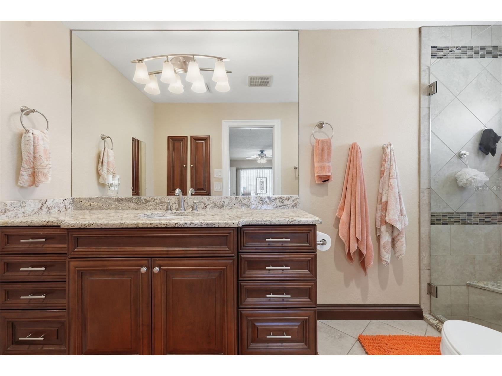 5860 Leeland Street S Saint Petersburg FL 33715 A4690573 image13