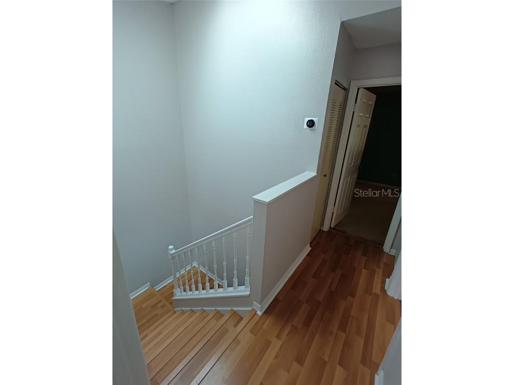 5860 Red Cedar Lane Tampa FL 33625 TB8415929 image17