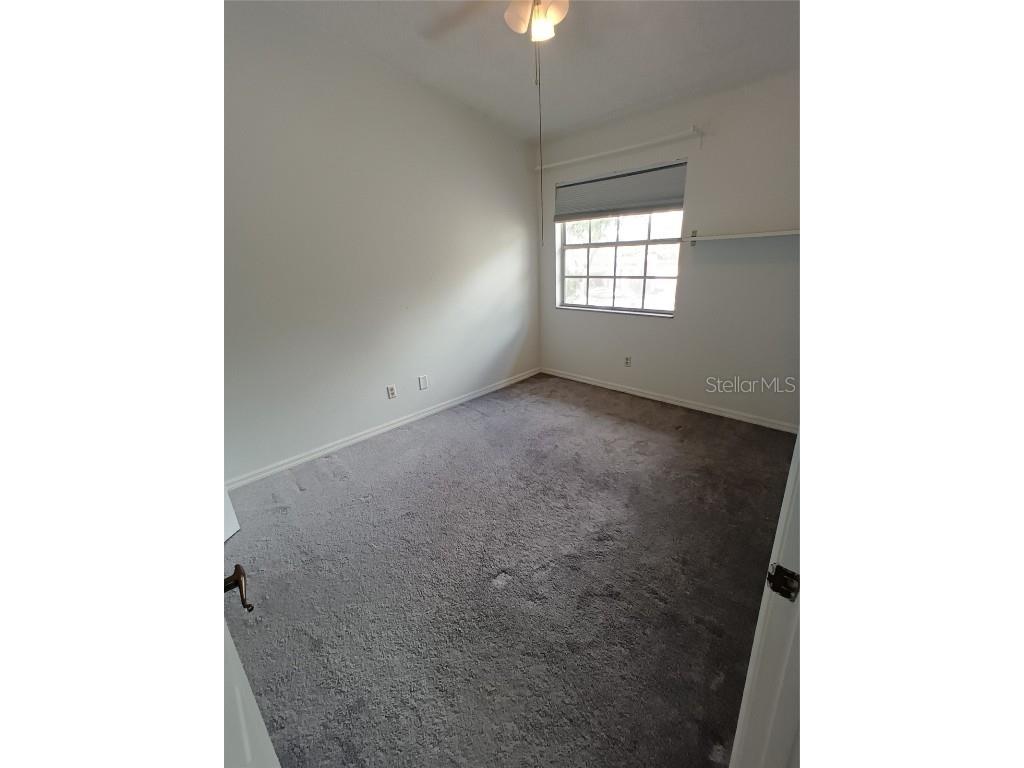 5860 Red Cedar Lane Tampa FL 33625 TB8415929 image18