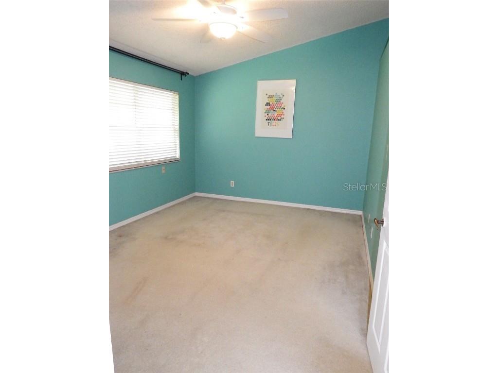 5860 Red Cedar Lane Tampa FL 33625 TB8415929 image21