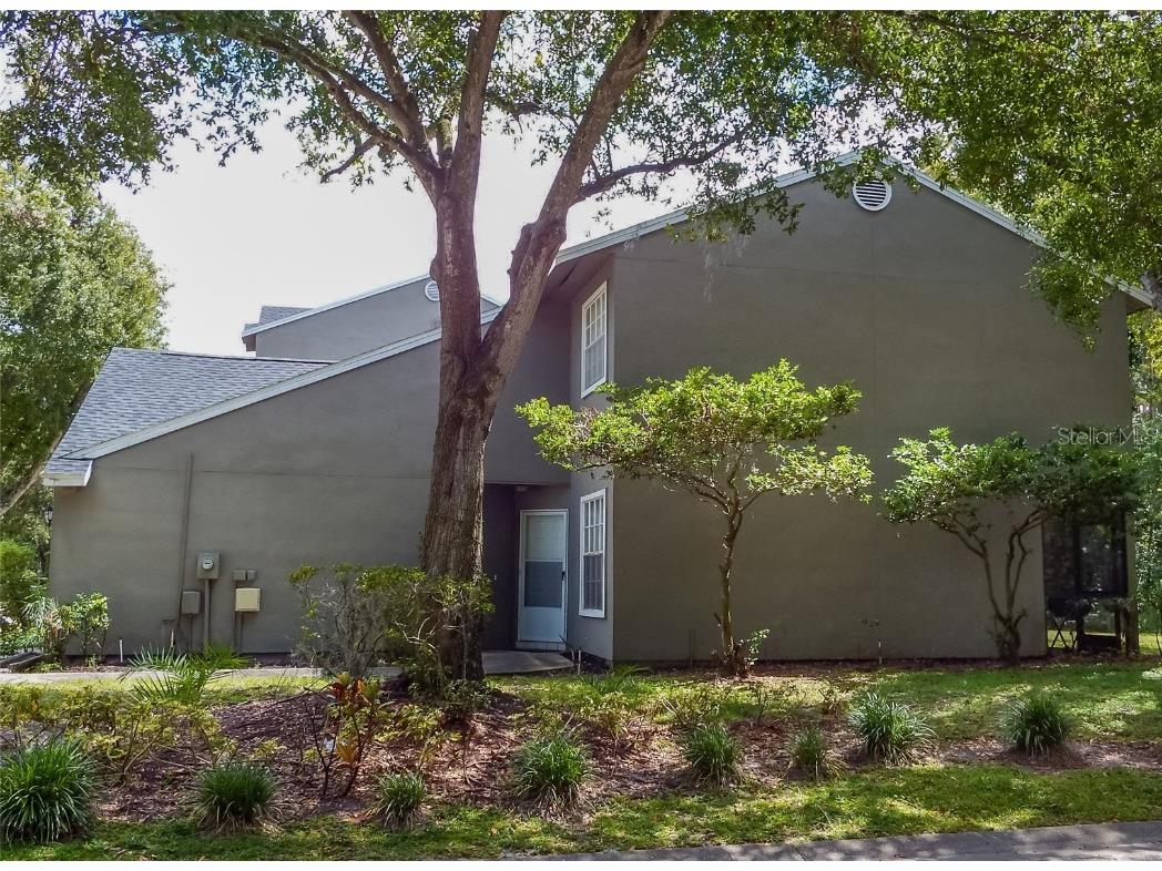 5860 Red Cedar Lane Tampa FL 33625 TB8415929 image4