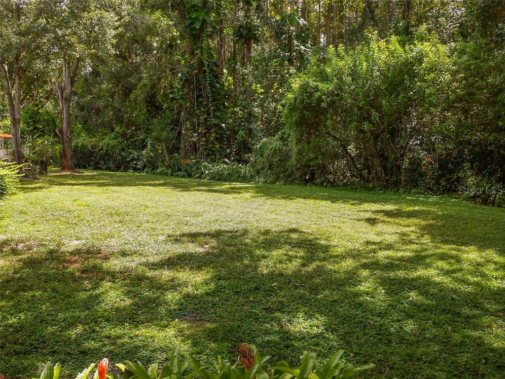 5860 Red Cedar Lane Tampa FL 33625 TB8415929 image6