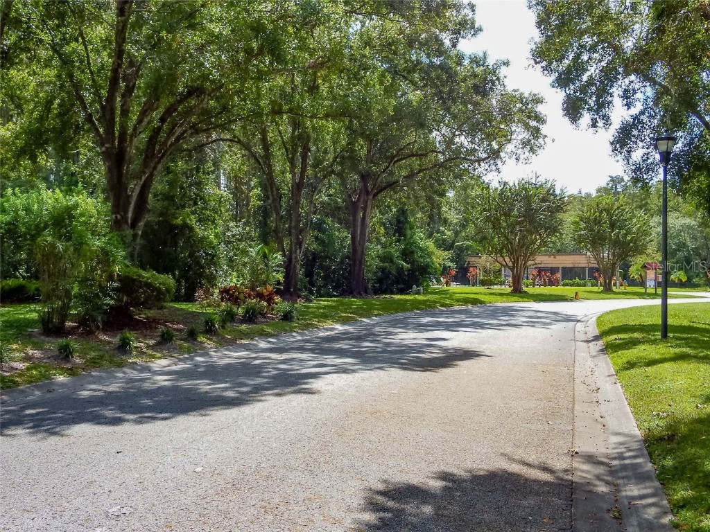 5860 Red Cedar Lane Tampa FL 33625 TB8415929 image7