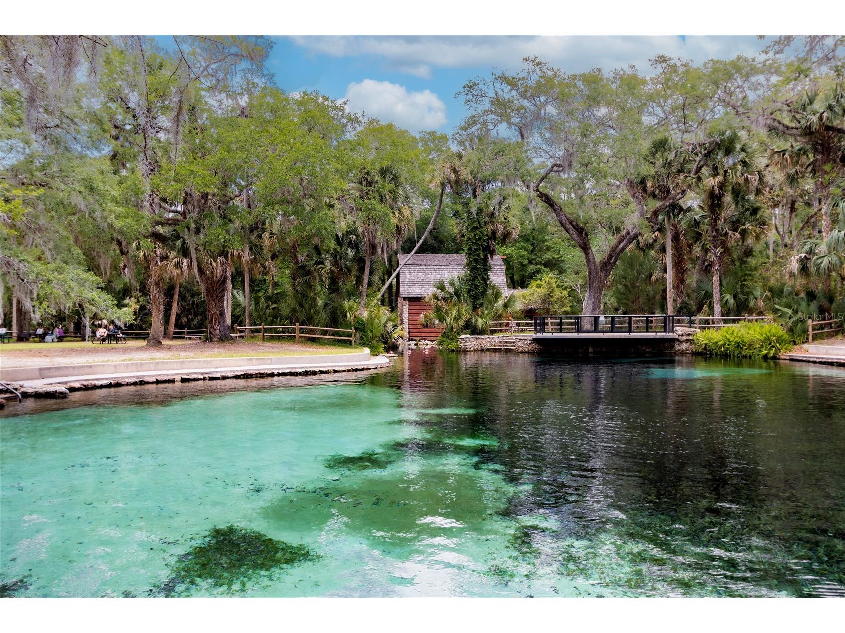 5860 SE 183rd Terrace Ocklawaha FL 32179 GC535159 image40