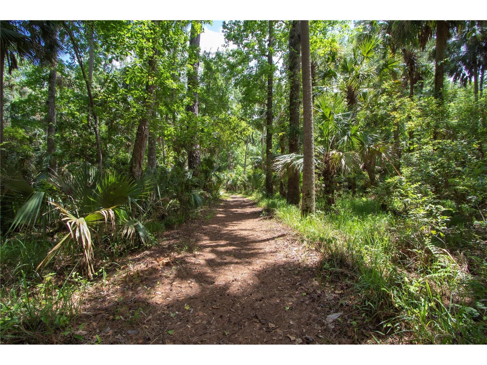 5860 SE 183rd Terrace Ocklawaha FL 32179 GC535159 image44