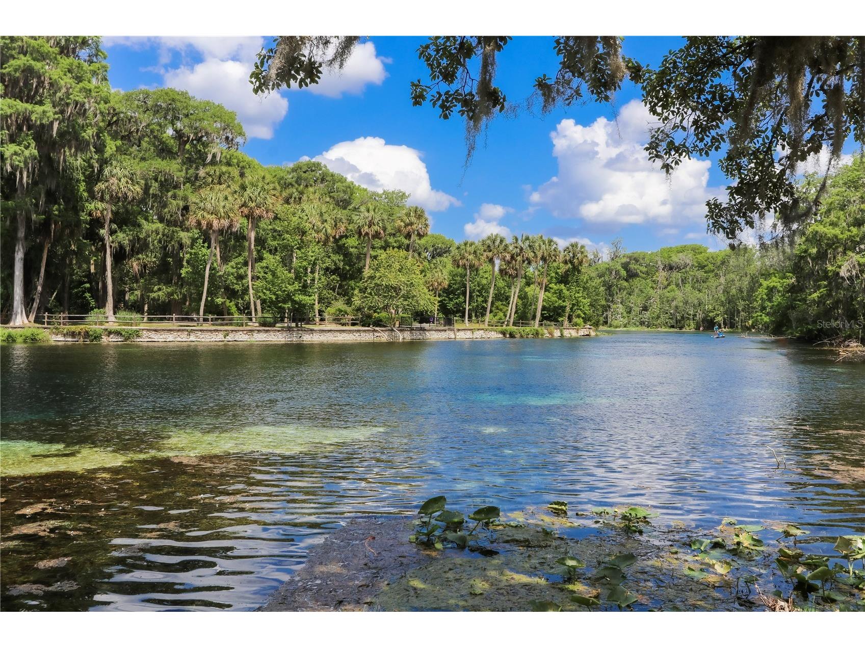 5860 SE 183rd Terrace Ocklawaha FL 32179 GC535159 image48
