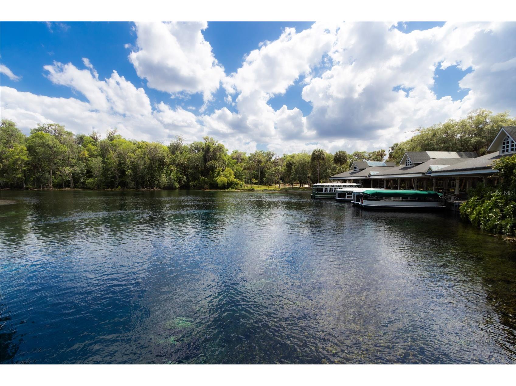 5860 SE 183rd Terrace Ocklawaha FL 32179 GC535159 image49