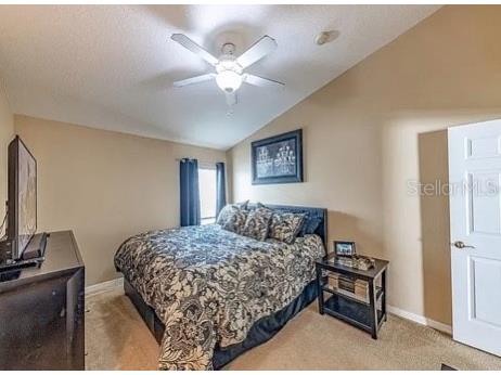 5861 Wrenwater Drive Lithia FL 33547 TB8506045 image7