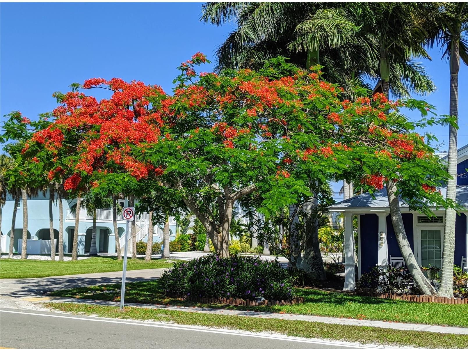 5862 Welcome Road #J-25 Bradenton FL 34207 A4693626 image26