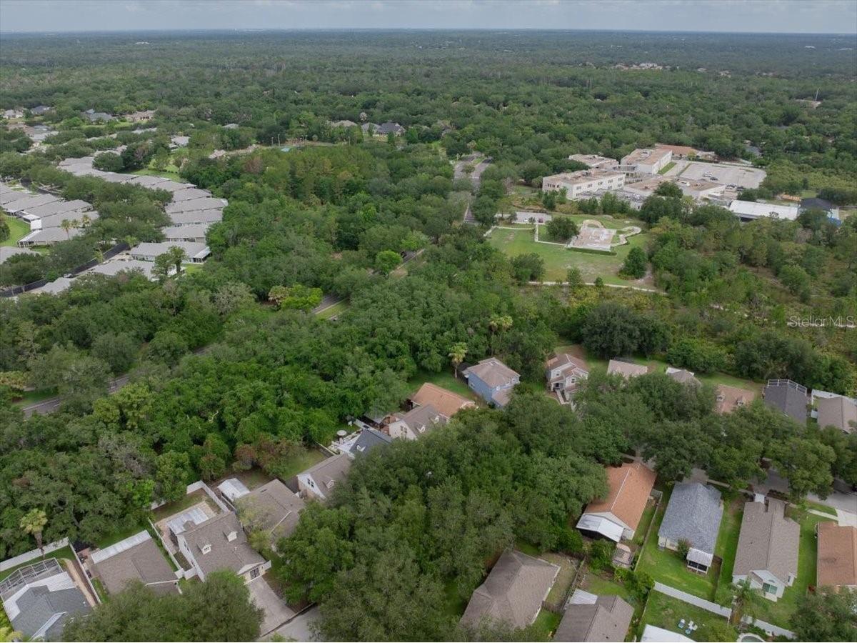 5863 Meadowpark Place Lithia FL 33547 TB8515437 image36