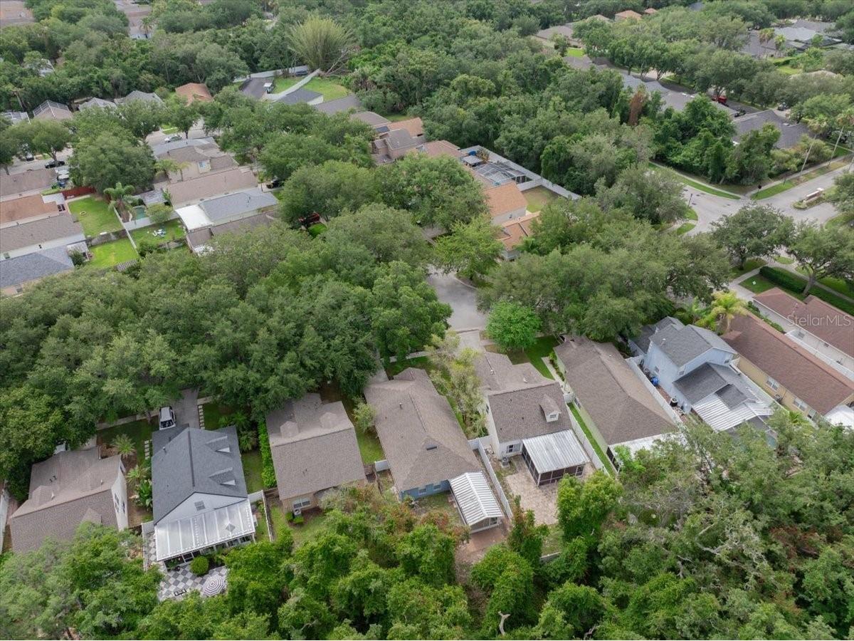 5863 Meadowpark Place Lithia FL 33547 TB8515437 image38