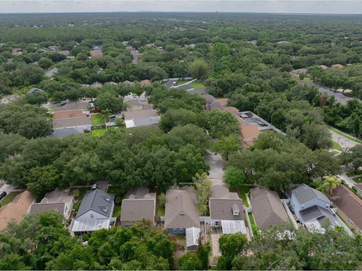 5863 Meadowpark Place Lithia FL 33547 TB8515437 image39