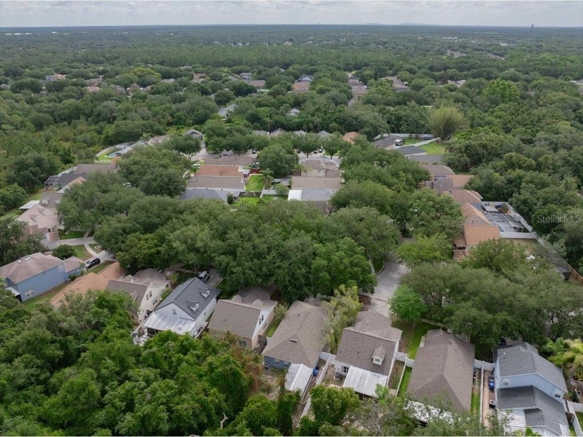 5863 Meadowpark Place Lithia FL 33547 TB8515437 image40