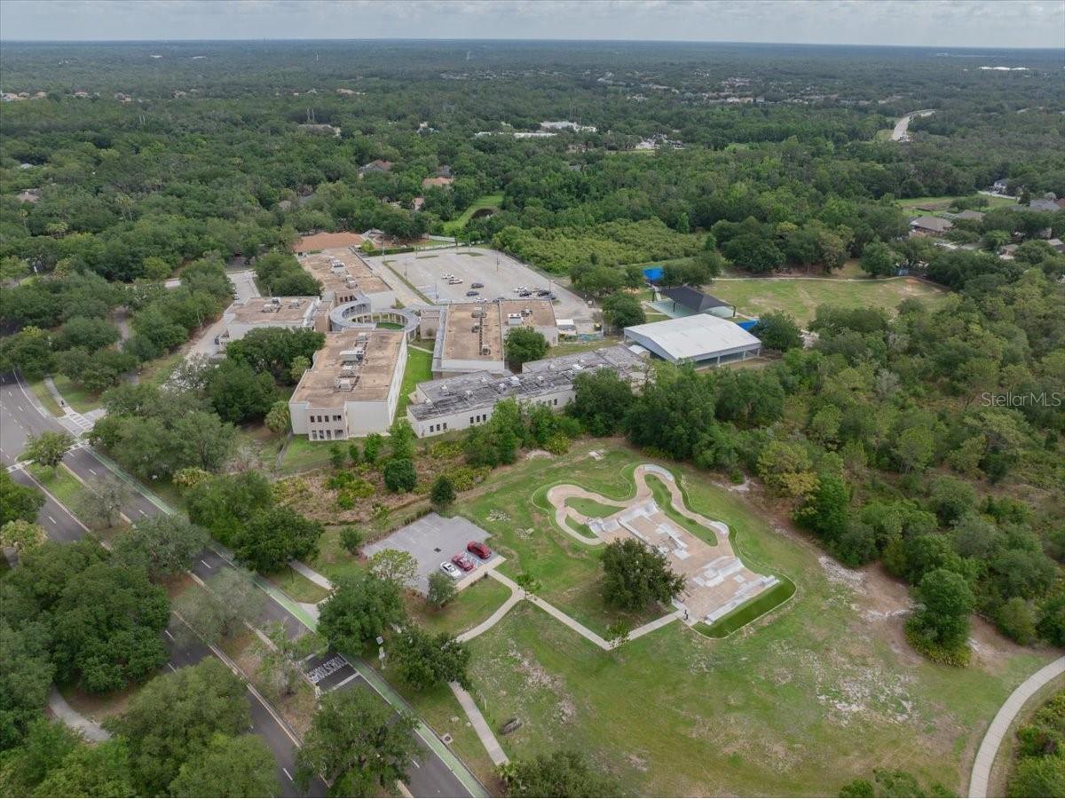5863 Meadowpark Place Lithia FL 33547 TB8515437 image41