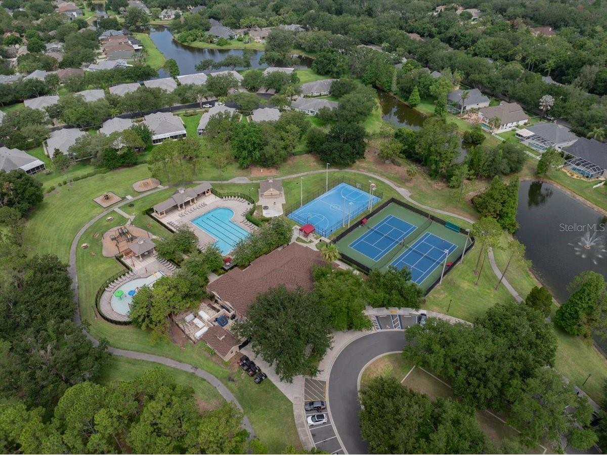 5863 Meadowpark Place Lithia FL 33547 TB8515437 image42