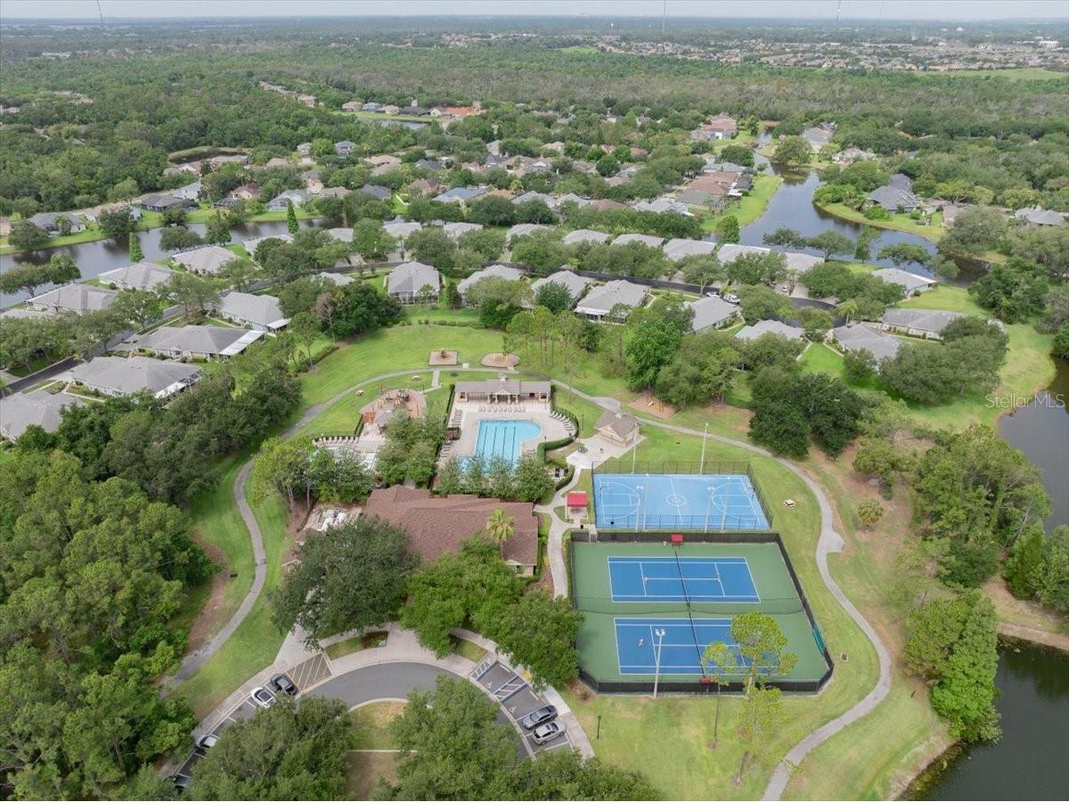 5863 Meadowpark Place Lithia FL 33547 TB8515437 image44
