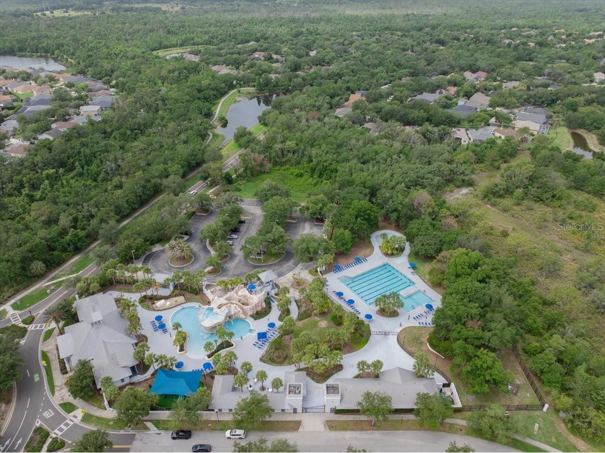 5863 Meadowpark Place Lithia FL 33547 TB8515437 image50