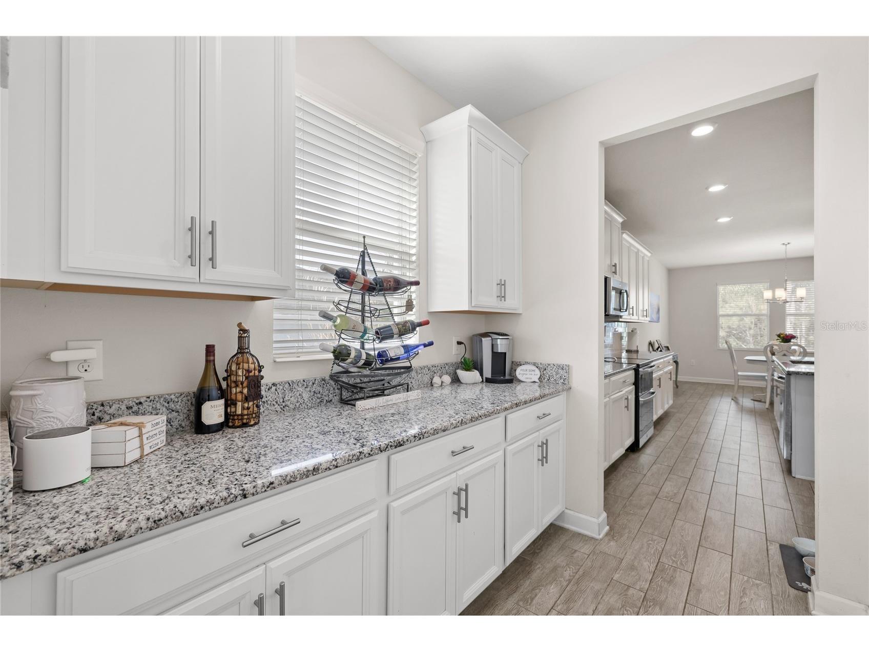 5864 Alenlon Way Mount Dora FL 32757 O6406046 image11