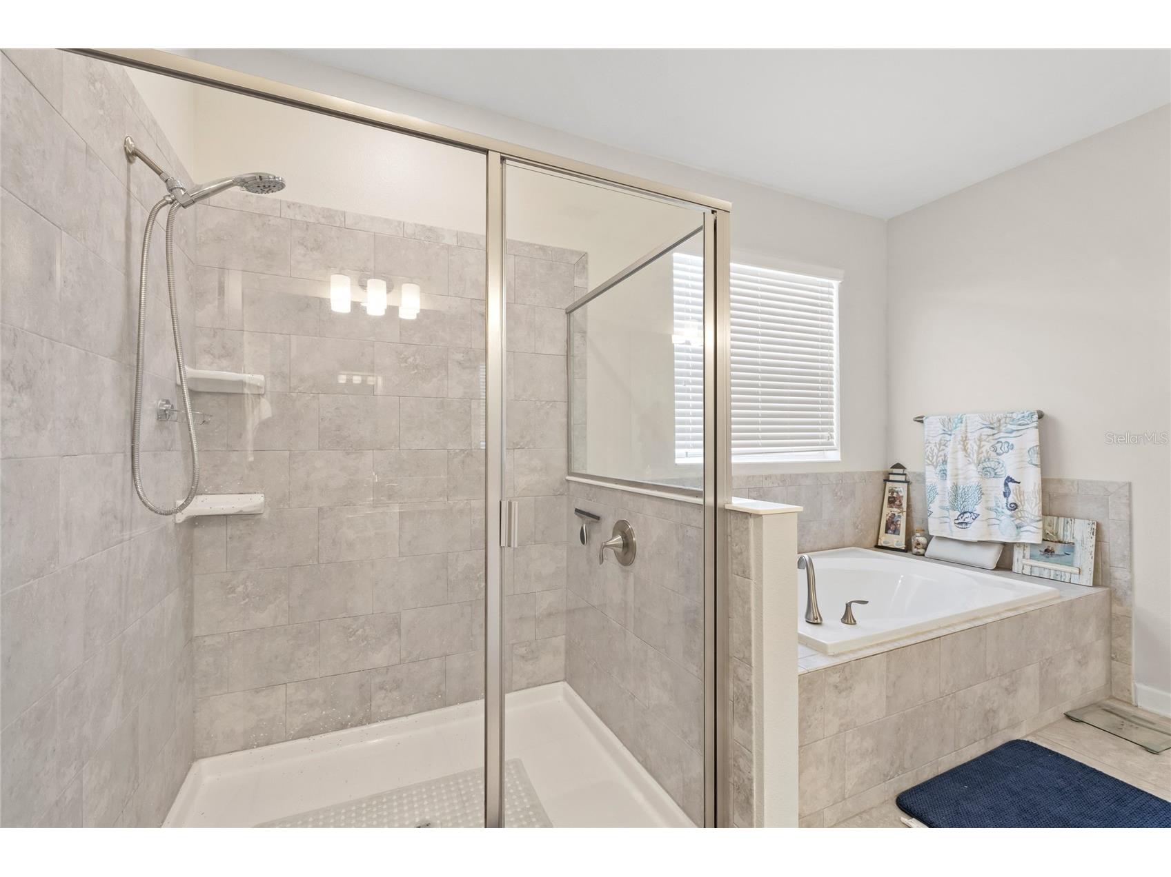 5864 Alenlon Way Mount Dora FL 32757 O6406046 image19