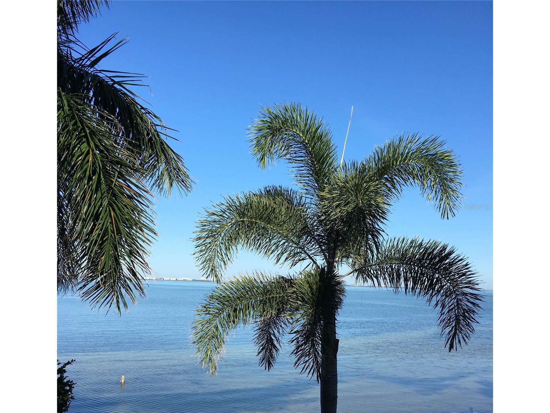 5867 Helicon Place Sarasota FL 34238 A4689669 image70